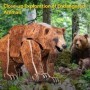 Puzzle 3D National Geographic animale pe cale de disparitie Urs maro 88 piese
